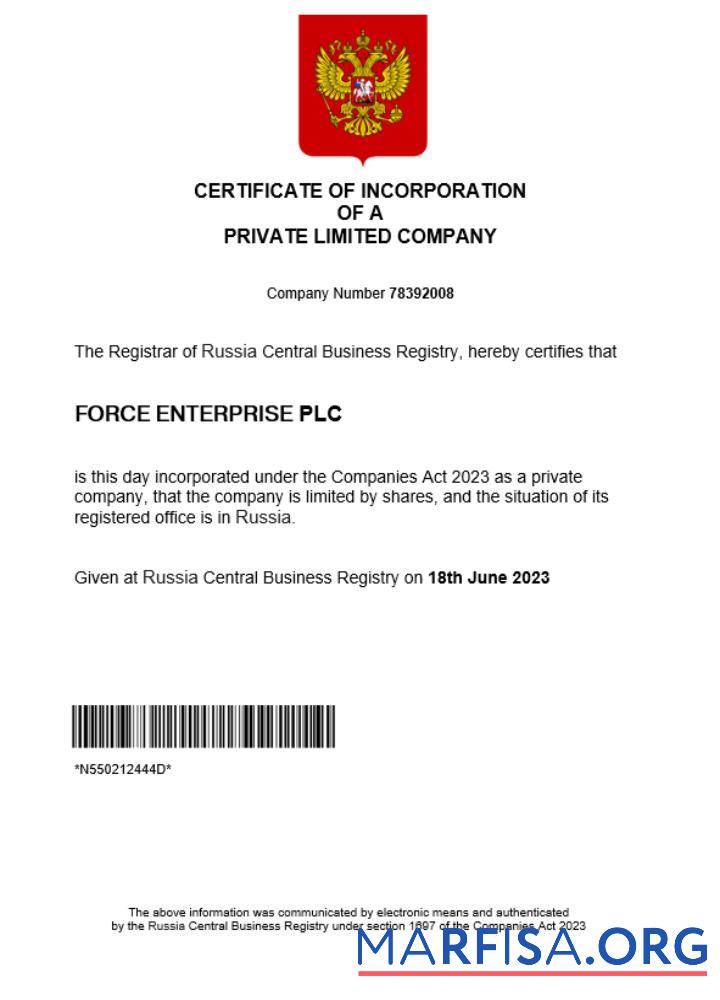 Blank Russia business registration certificate Word and PDF template